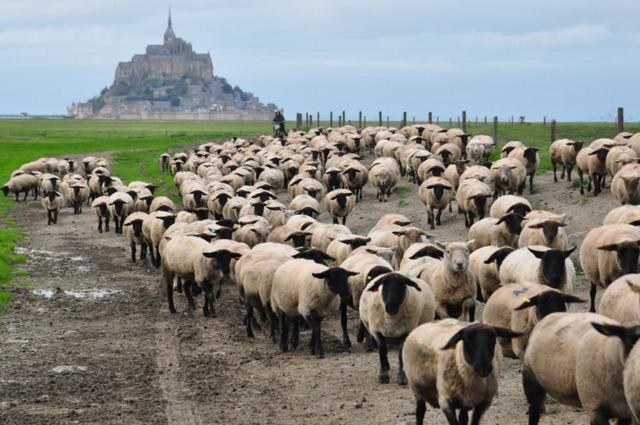 B&B La Rive - Le Mont Saint Michel Ardevon Kültér fotó